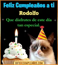 GIF Gato meme Feliz Cumpleaños Rodolfo